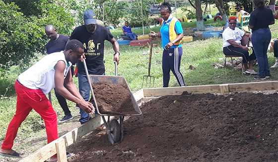 update-2-4-20-Jam-garden